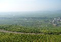 Alsace
